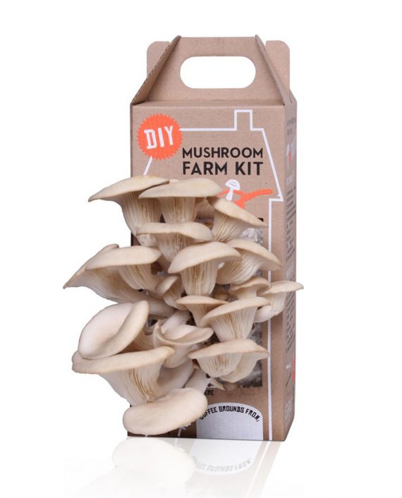 DIY Mushroom farm kit