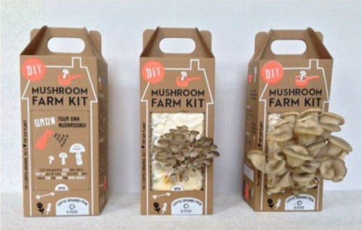DIY Mushroom farm kit