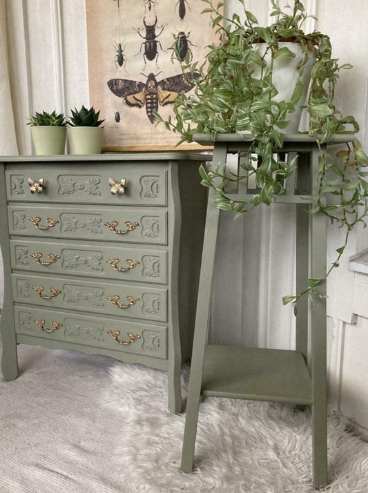 Plantentafel "Lichen"