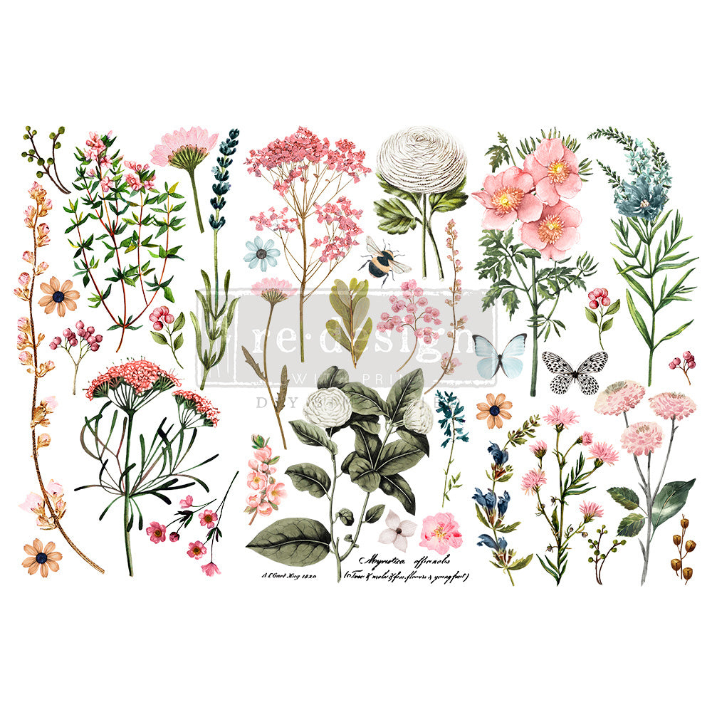 Transfer Botanical Paradise