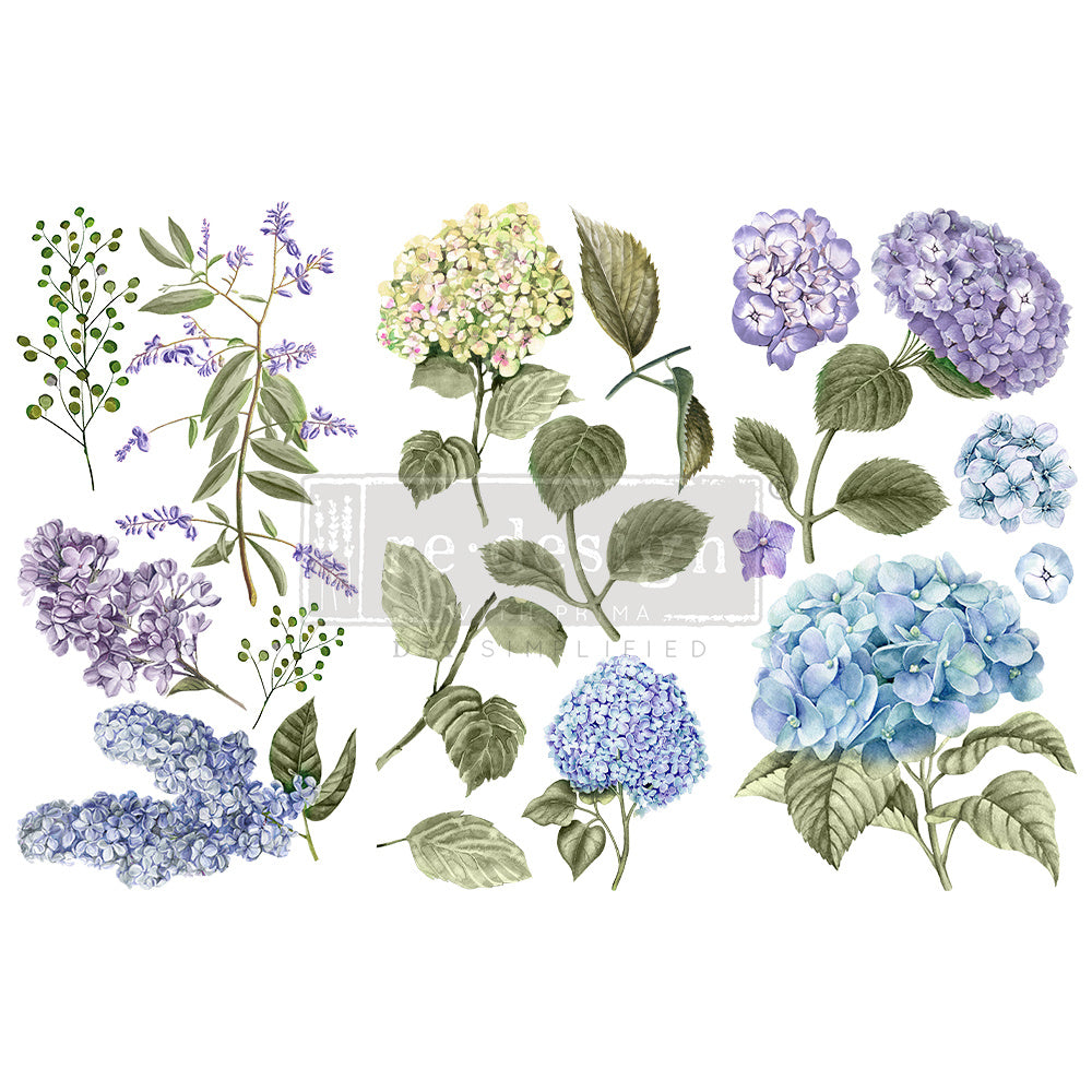 Transfer Mystic Hydrangea