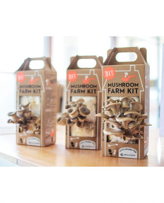 DIY Mushroom farm kit