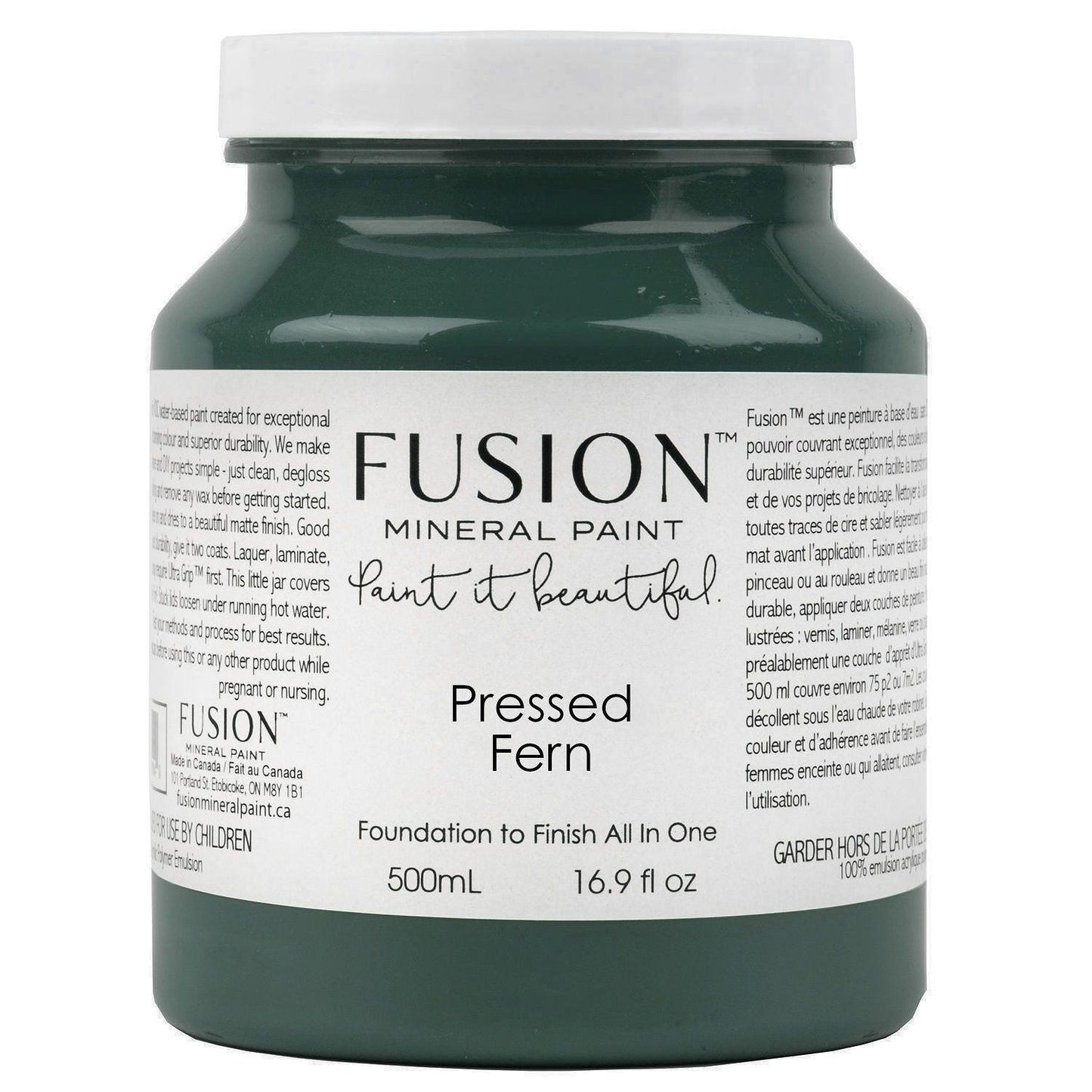 Pressed Fern - Fusion Mineral Paint