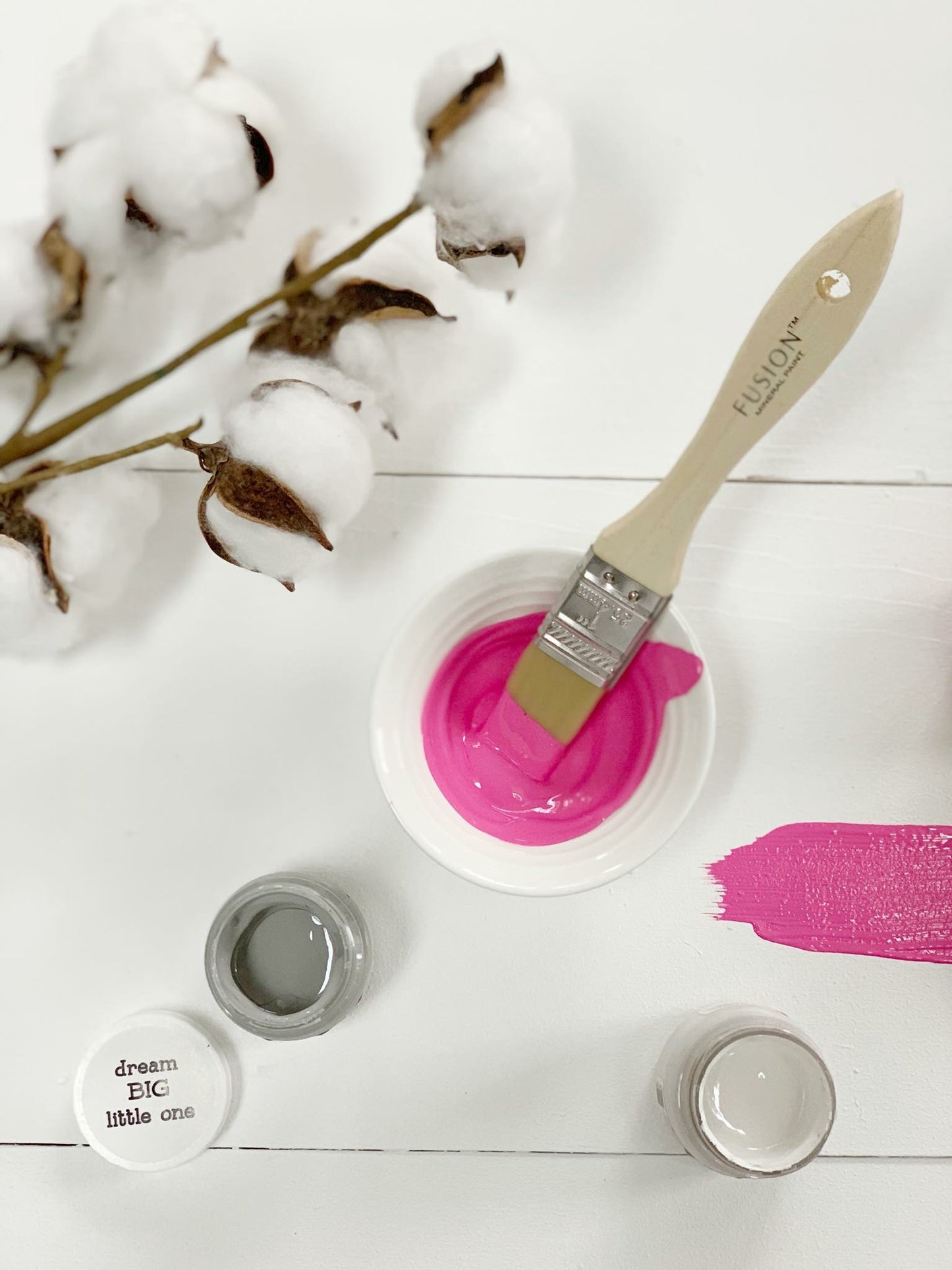 CUREiously Pink - Fusion Mineral Paint